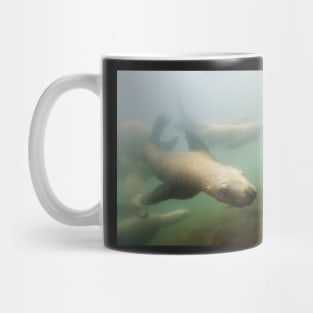 An Inquisitive Sea Lion Off the Shores of Vancouver Island Mug